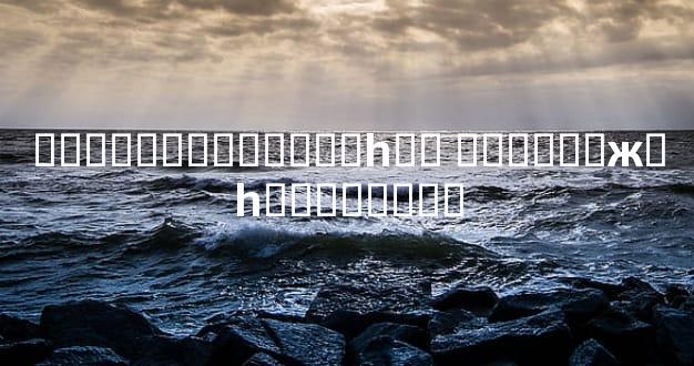 �Ӷ�����̬���˵�һ�� �Ӷ����ж�һ���˵��Ը�